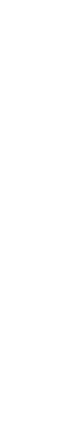 White texture